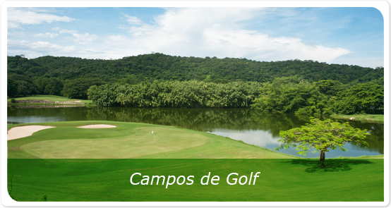 Fonatur Campos de Golf